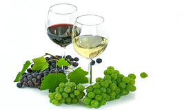 Vino